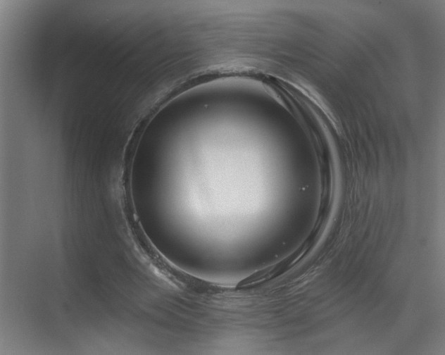 X0000070160485200605261134