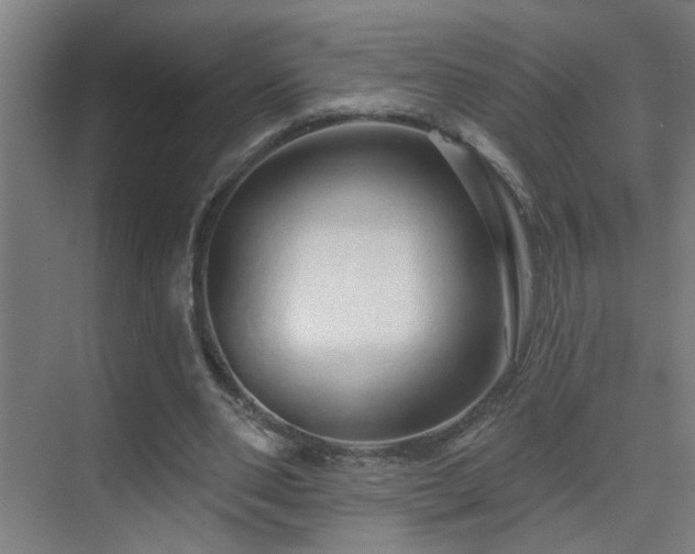 X0000070160486200605261134