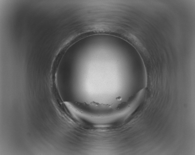 X0000070160488200605261134
