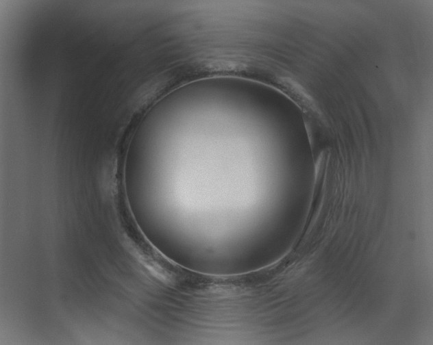 X0000070160490200605261134