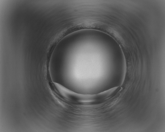 X0000070160493200605261133