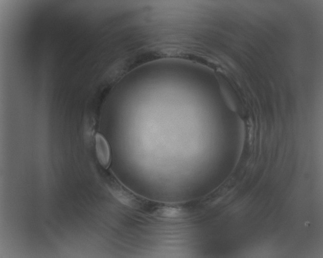 X0000070160507200605261133