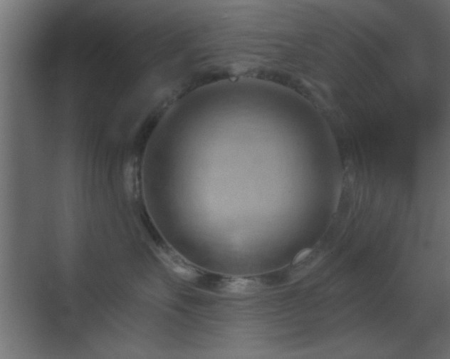 X0000070160527200605261133