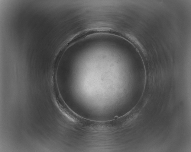 X0000070160533200605261132