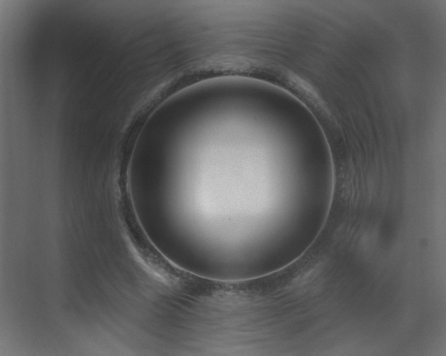 X0000070160538200605261132