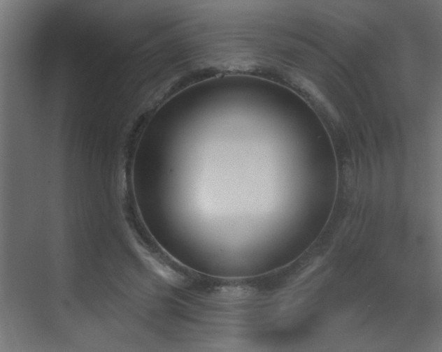 X0000070160541200605261132