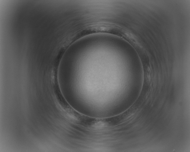 X0000070160551200605261132