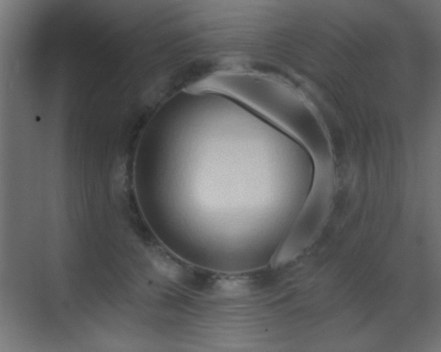 X0000070160560200605261133