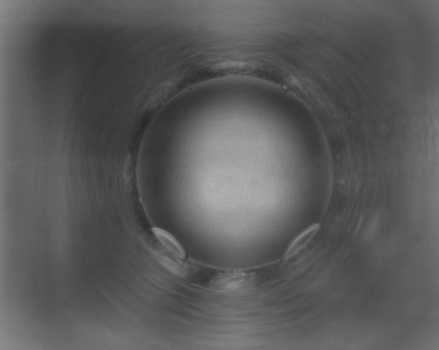 X0000070160563200605261133