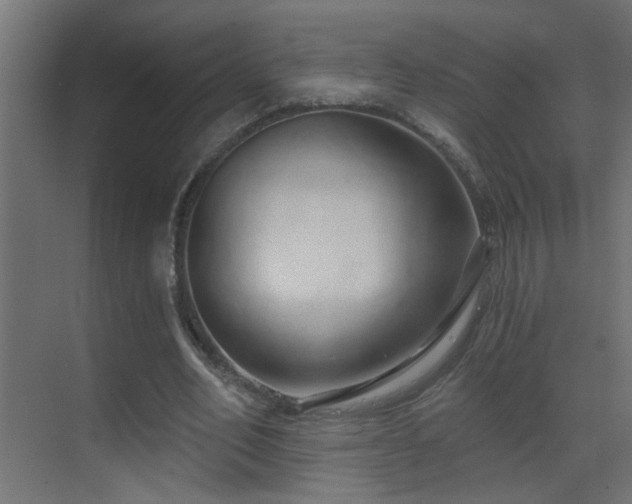 X0000070160582200605261132