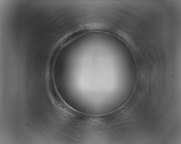 X0000070160583200605261132