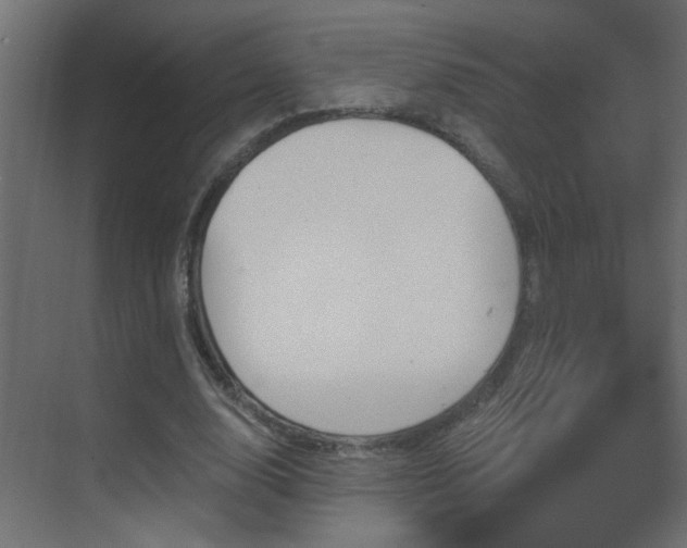 X0000070160632200605261131