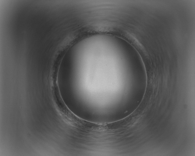 X0000070160635200605261131