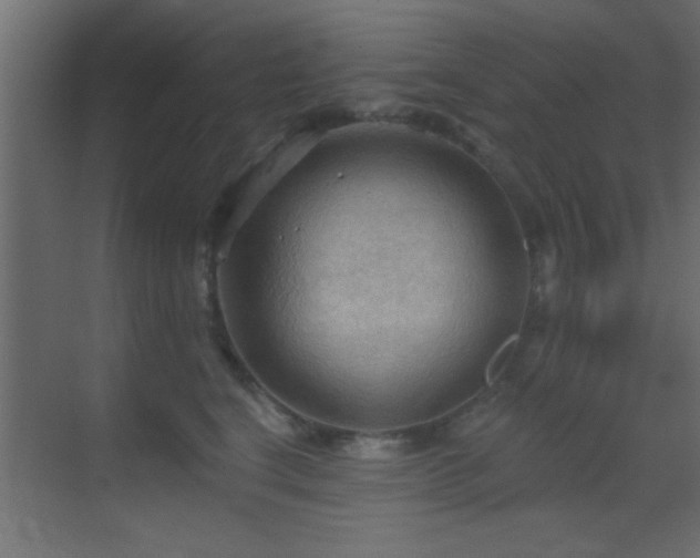 X0000070160664200605261131