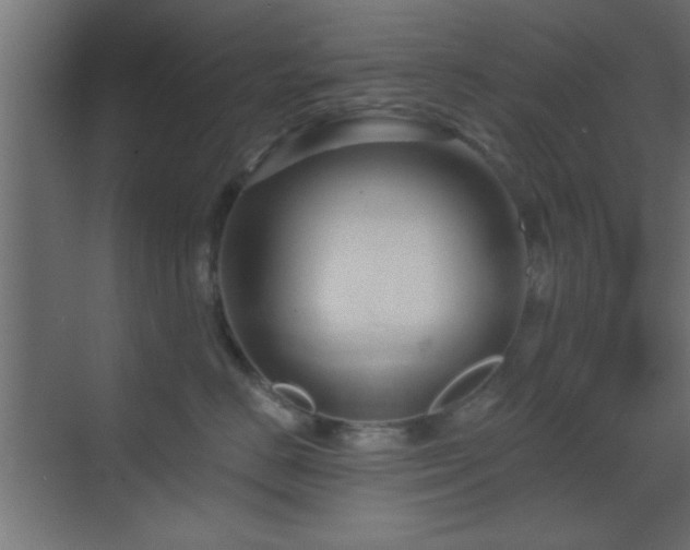 X0000070160670200605261131