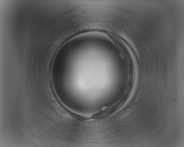 X0000070160673200605261130