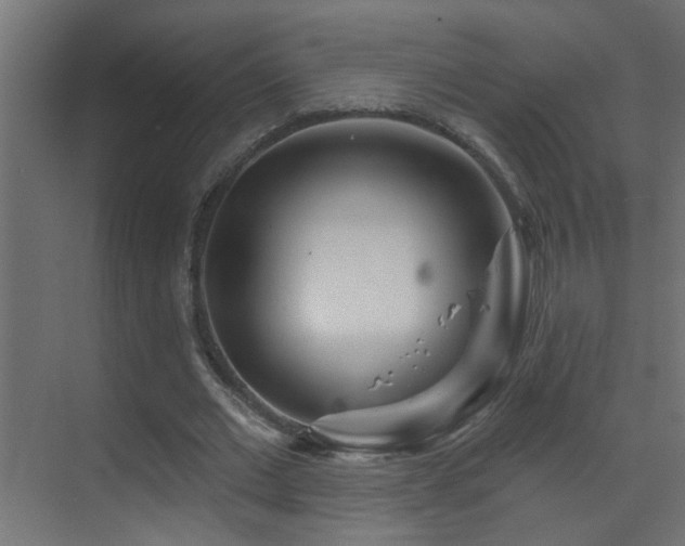 X0000070160677200605261130