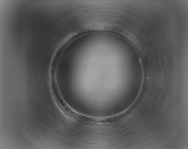X0000070160678200605261130