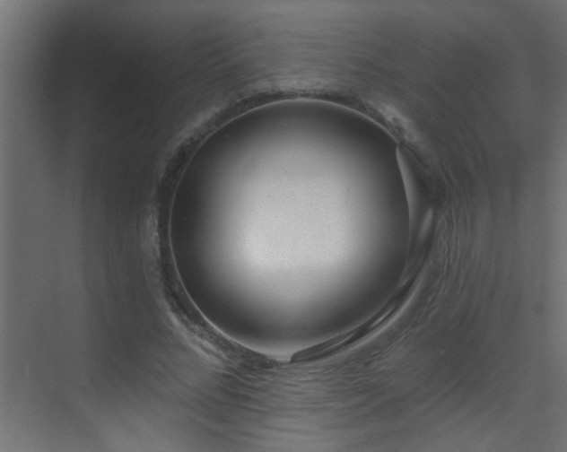 X0000070160684200605261130