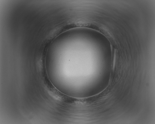 X0000070160690200605261130