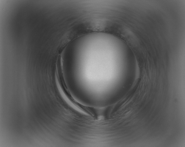 X0000070160697200605261130