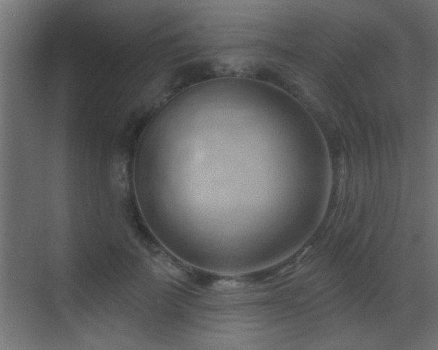 X0000070160699200605261130