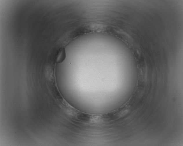 X0000070160705200605261130