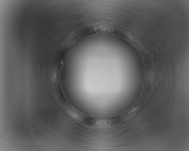 X0000070160709200605261130