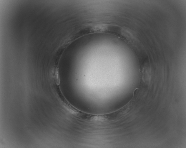 X0000070160714200605261130