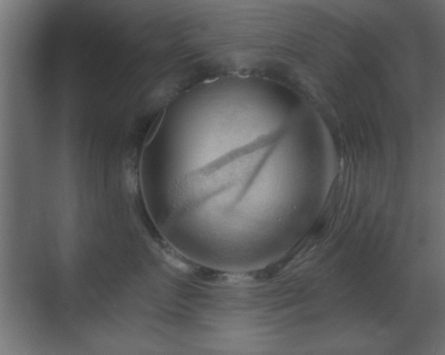 X0000070160719200605261130