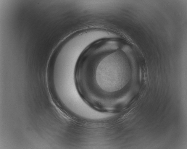X0000070160722200605261129