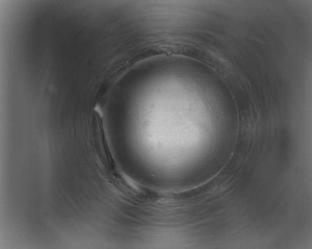 X0000070160749200605261129