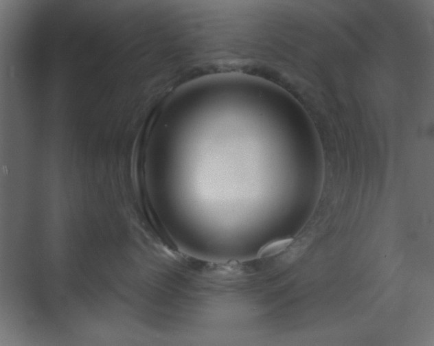 X0000070160768200605261130