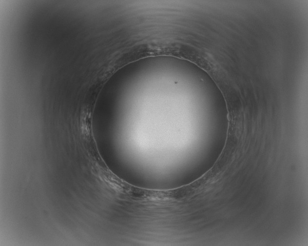 X0000070160770200605261129