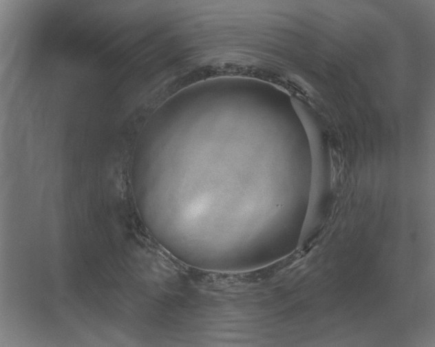 X0000070160774200605261129