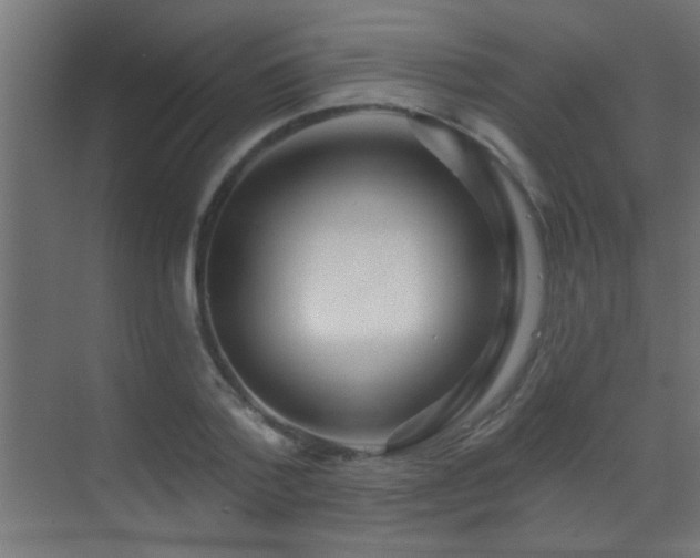 X0000070160788200605261129