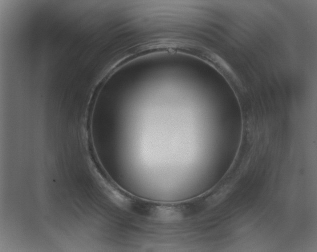 X0000070160794200605261128