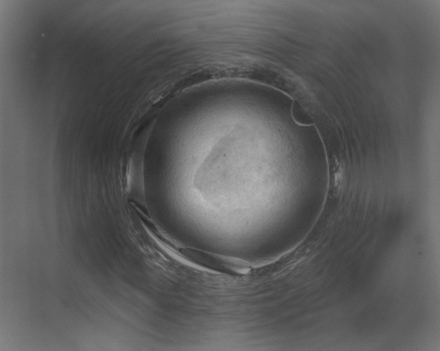 X0000070160819200605261127