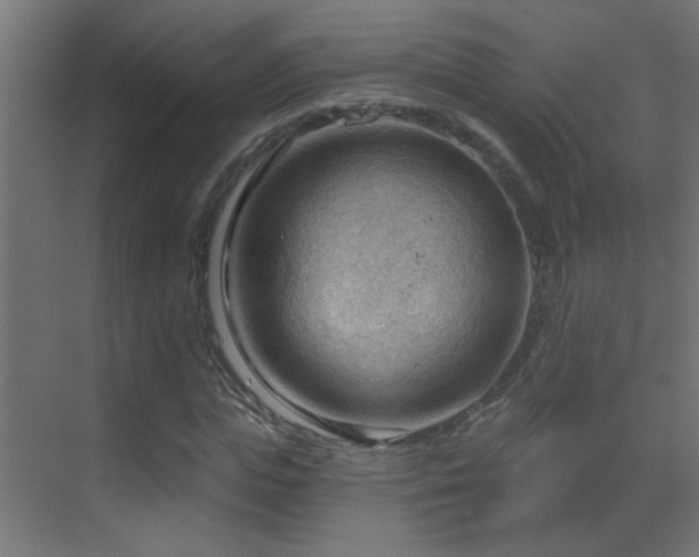 X0000070160823200605261127