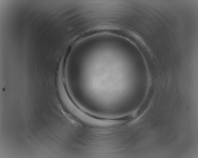 X0000070160833200605261128