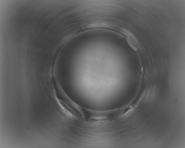 X0000070160849200605261128