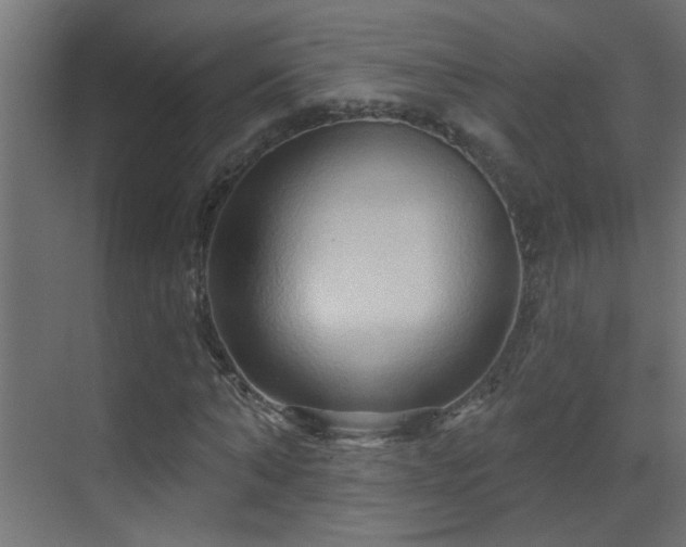 X0000070160870200605261127