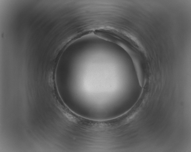 X0000070160881200605261127
