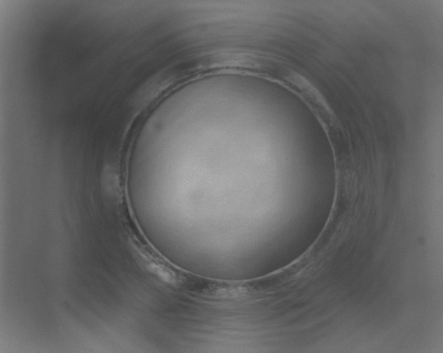 X0000070160882200605261127