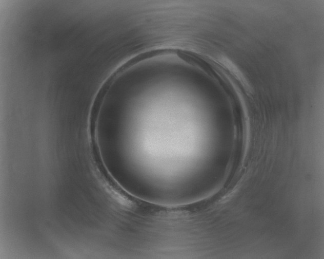 X0000070160884200605261127