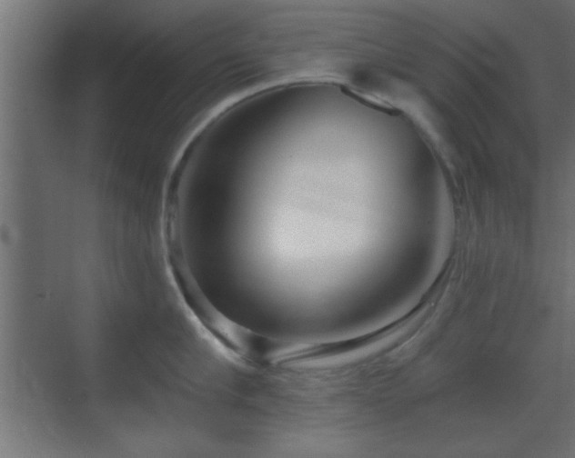 X0000070160910200605261126