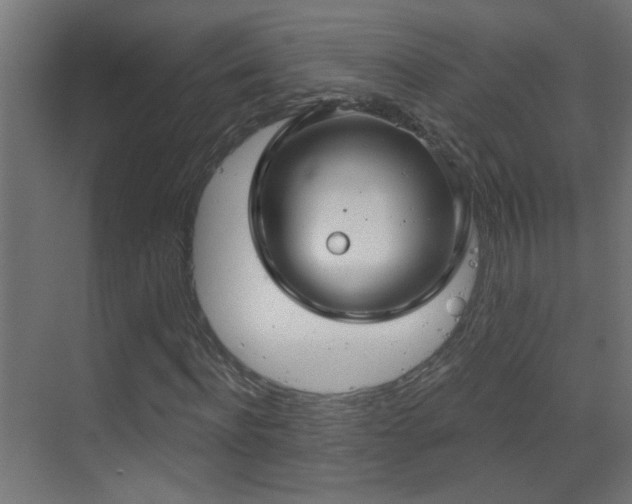 X0000070160916200605261126