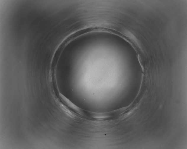 X0000070160924200605261126