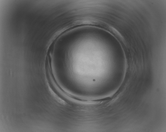 X0000070160938200605261126