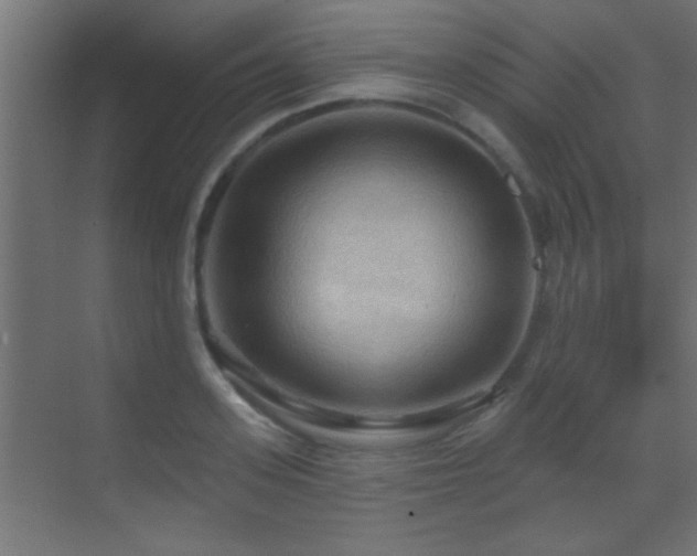X0000070160939200605261126